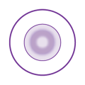 Balanced Progressive® Technology