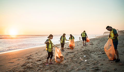 group cleaning beach